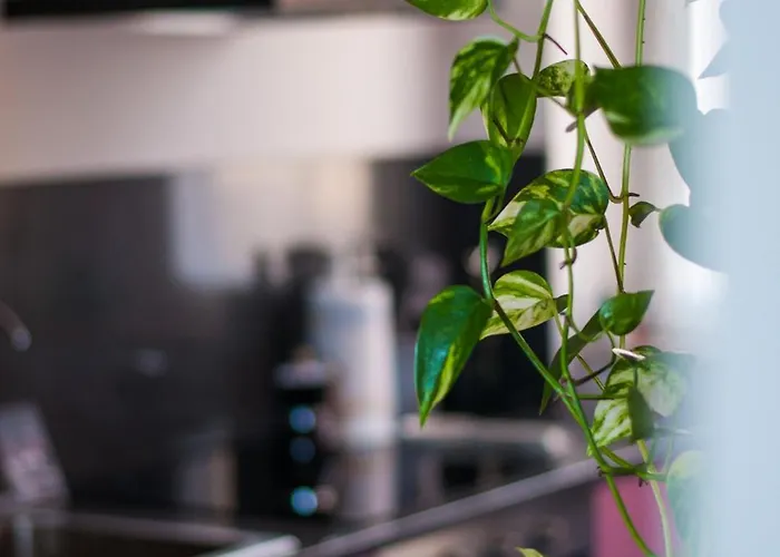 Apartman Punta Penna Seahouse *