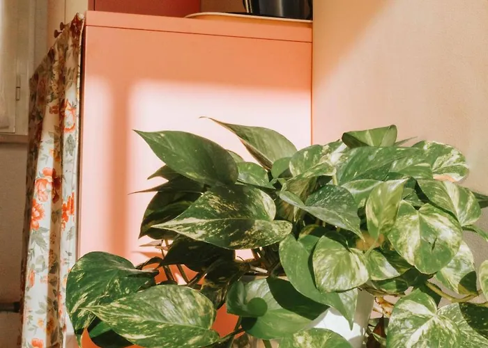 Punta Penna Seahouse Apartman *