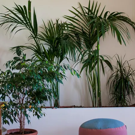 Punta Penna Seahouse *