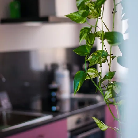 Apartmán Punta Penna Seahouse *