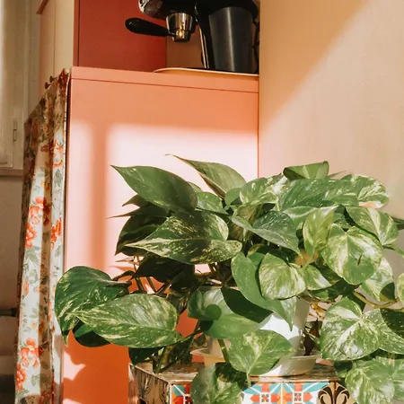 Punta Penna Seahouse Apartamento *