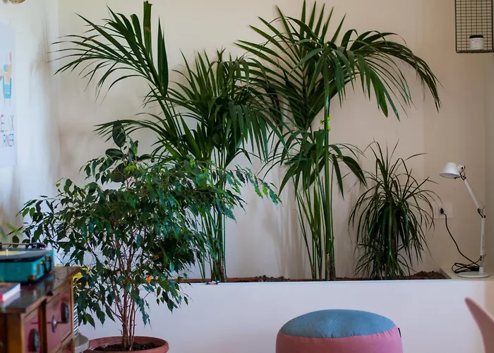 Punta Penna Seahouse *